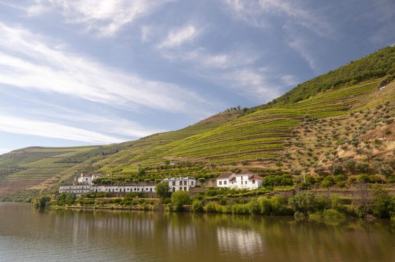 Discovering Portugal’s Douro River: A Cruise of UNESCO Heritage, Wine, and Scenic Splendor