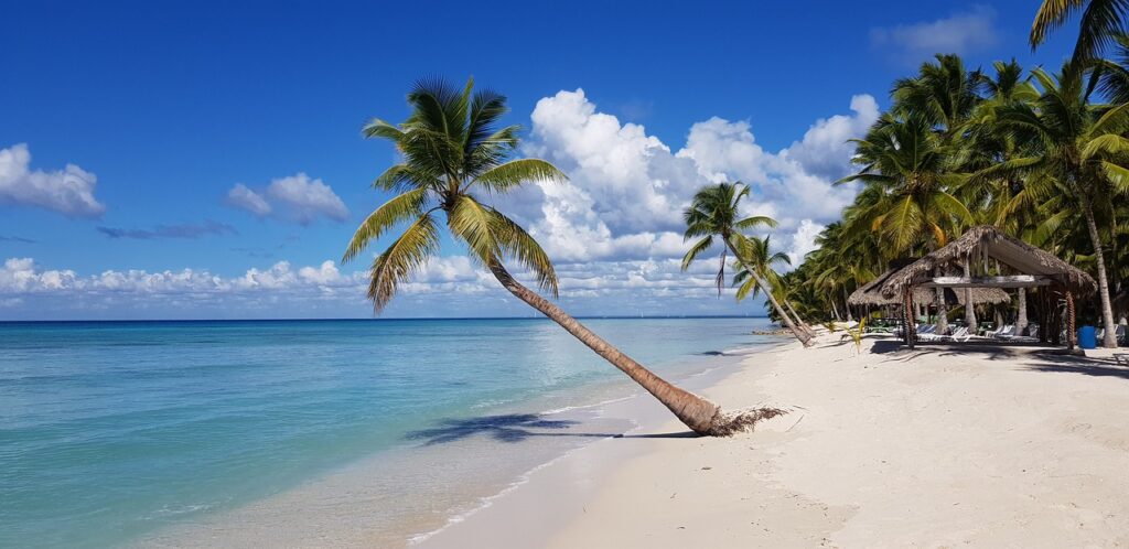 beach, palm trees, sea-5990648.jpg