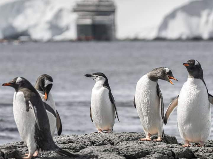 r_Spotlight_Pursuit_Antarctica_073123