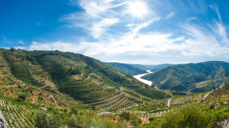 rf-ss-pt-douro-valley-149000990